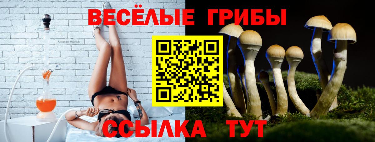 Псилоцибиновые грибы Psilocybe  Вход с VPN  Псилоцибиновые грибы Cubensis  Видное 
