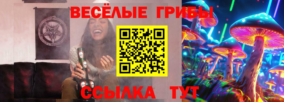 Галлюциногенные грибы Psilocybe Видное